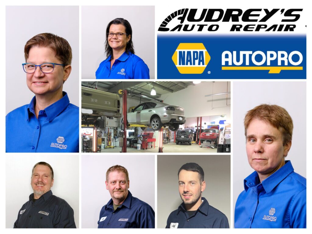 8.-Audreys-Auto-Repair-Napa-AutoPro-Group-Photo-2020-1-1024x768.jpg