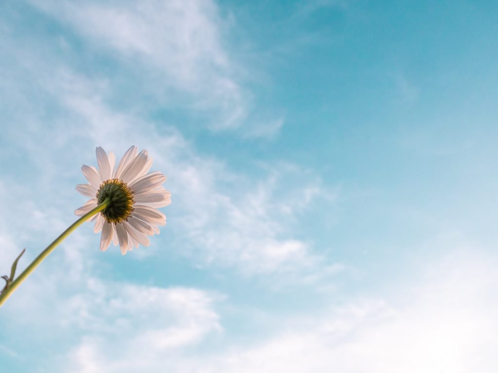 hope-pexels-aaron-burden-2449543-1024x768.jpg