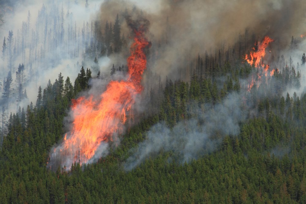 Wildfire-extreme-weather-Depositphotos_340088146_S.jpg